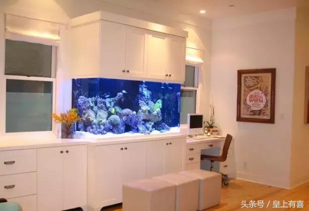 家养鱼怎么养才能旺财运,几种提升财运的小方法养鱼