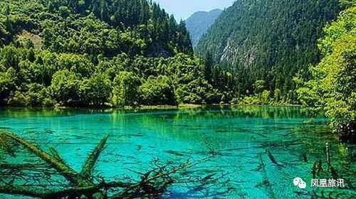 地铁可以带金鱼上去吗,武汉金鱼能不能带上地铁