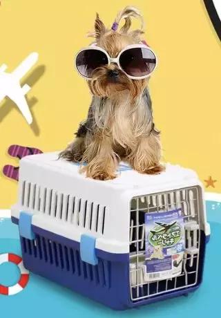 狗窝趣事,农村防寒狗窝