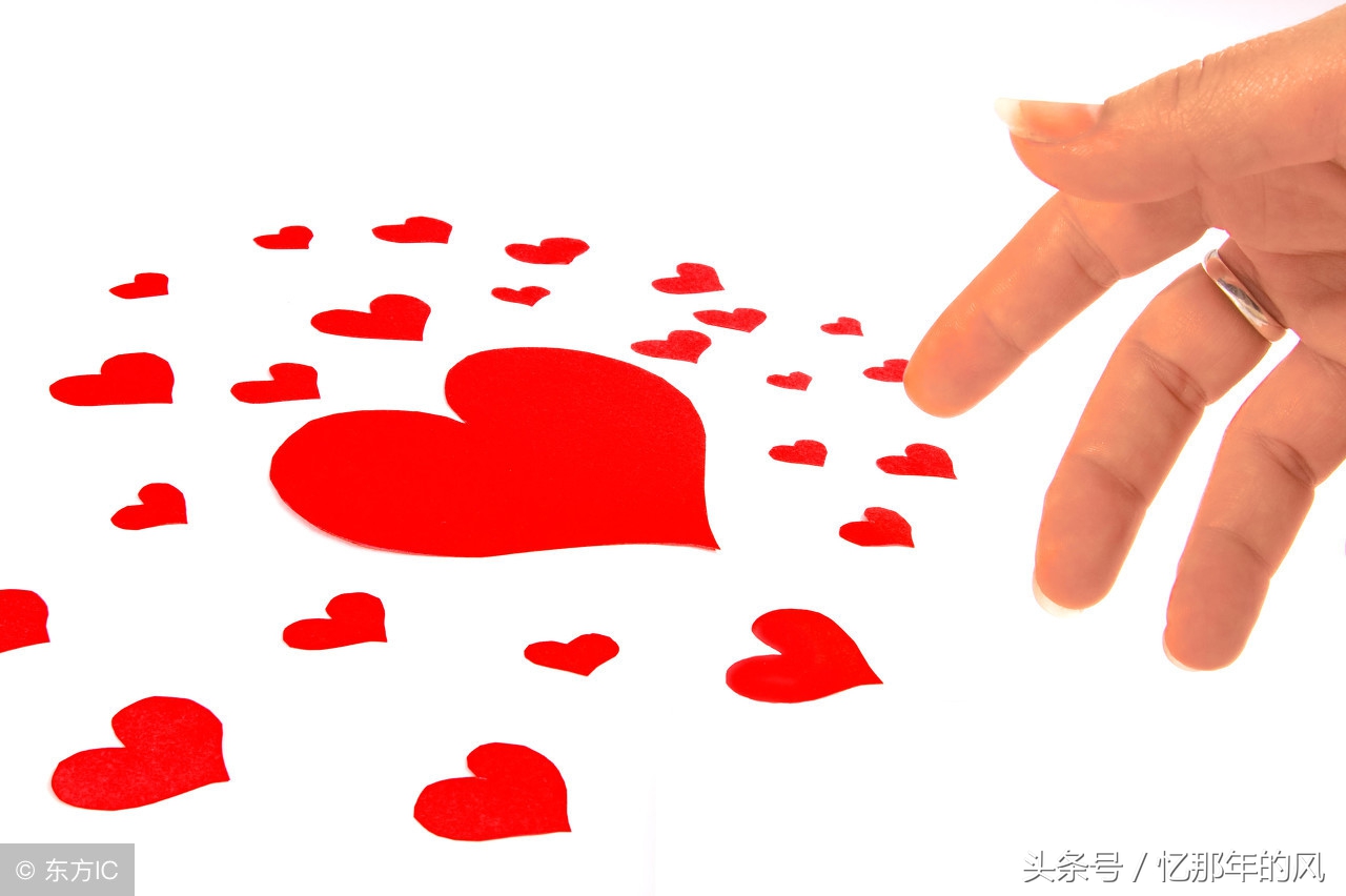 中华田园犬黑子的故事,中华田园犬和小黑子