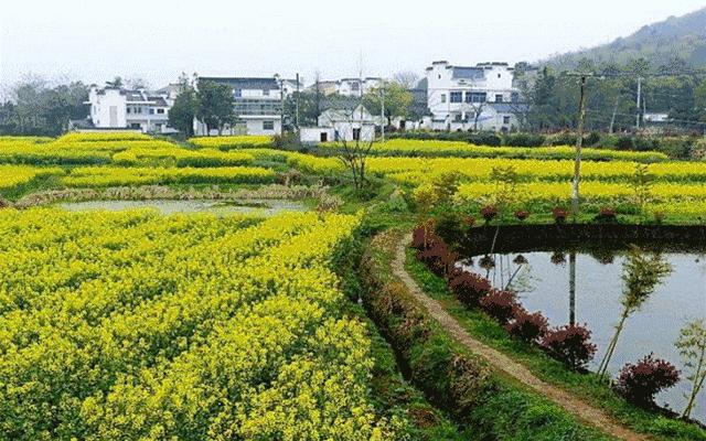 南京最穷县城排名,2021南京最穷的三个区