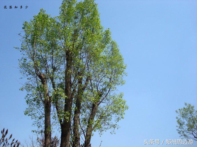 郑州人真正的后花园,郑州人少环境好的地方