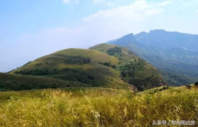 河南安阳自驾游必去的十个景点,河南洛阳周边自驾游免费景点