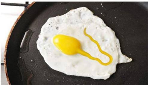 胜者为王，败者为“扣”——精子争夺战中不为人知的秘密