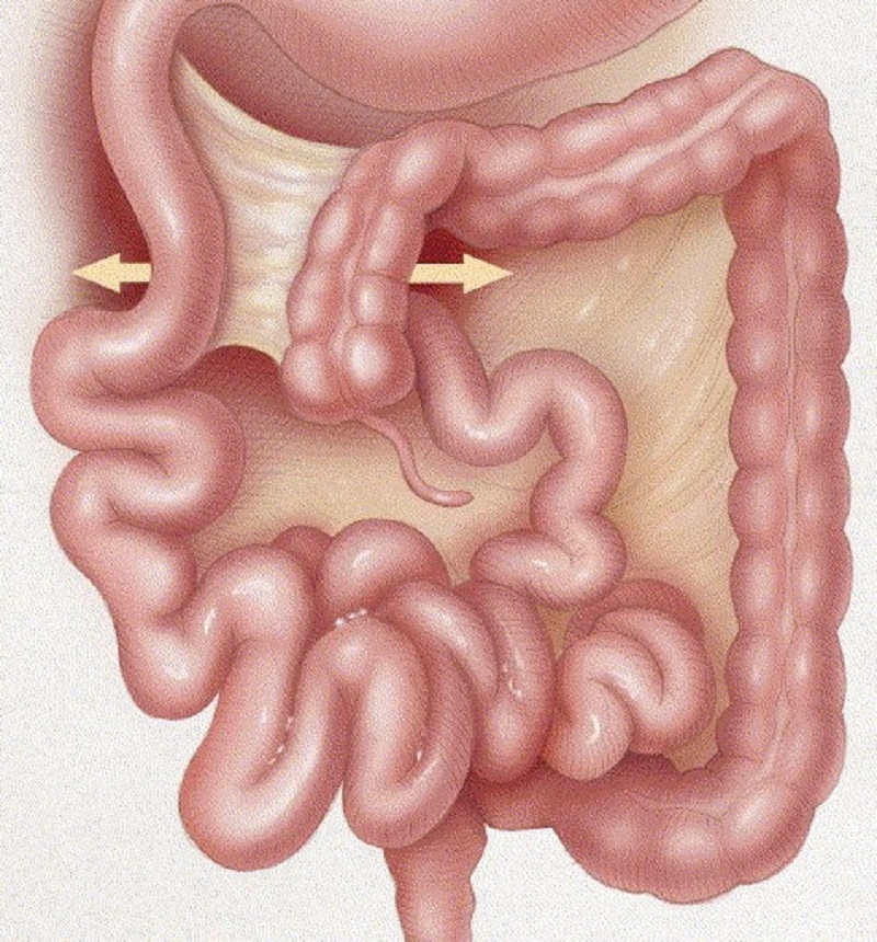 女医生脖子挂听诊器,为什么医生要把听诊器挂在脖子上
