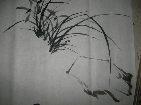 兰花画法一学就会,徐湛兰花画法步骤