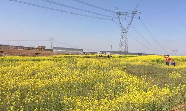 一年之计在春行,一年之计在春天完整版