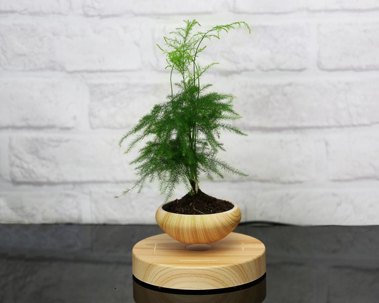 适合小投资的创业项目穷人首选,2018创业好项目小生意