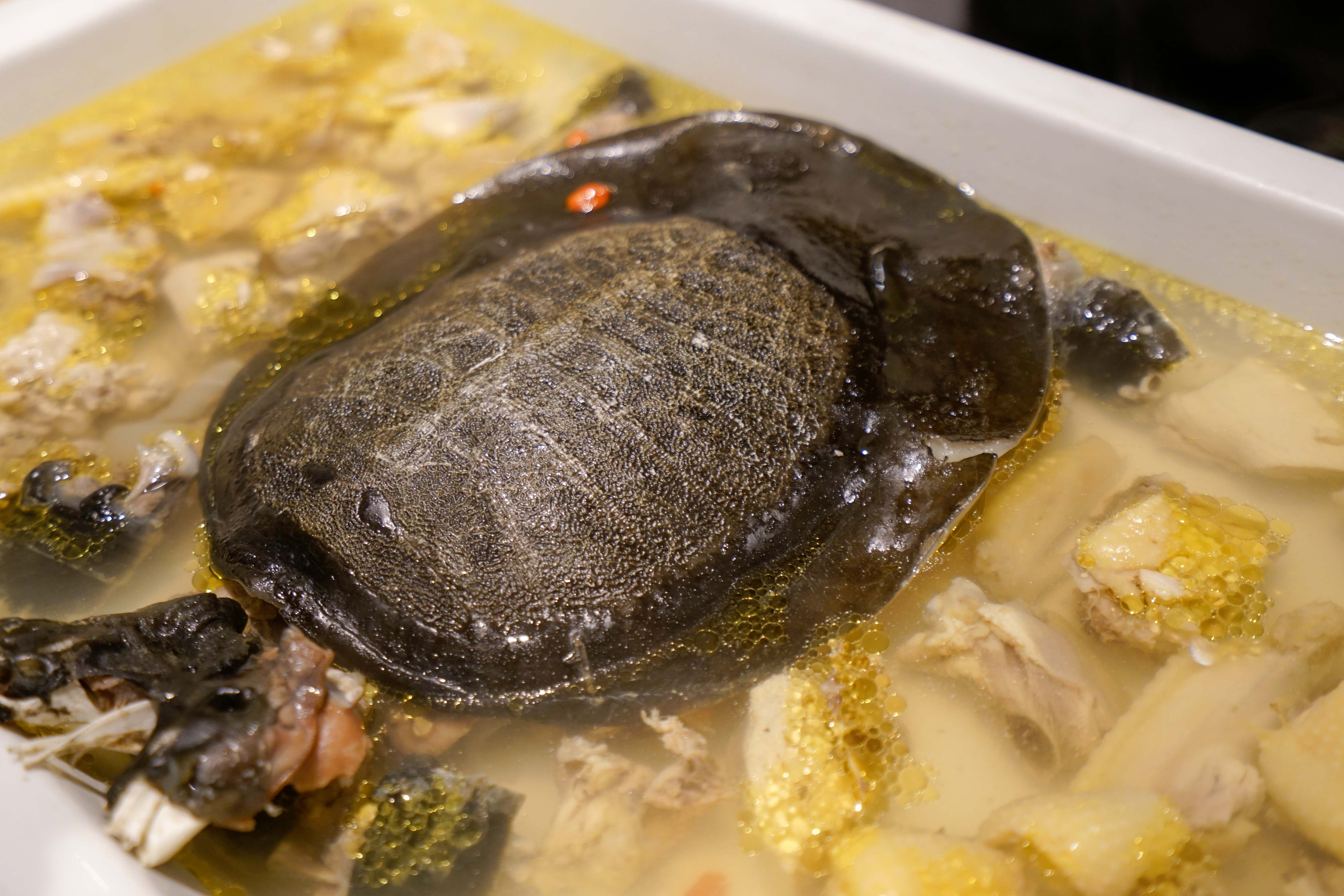 刀鱼季品鲜味，去道道鲜崇明私房菜赴一场刀鱼宴