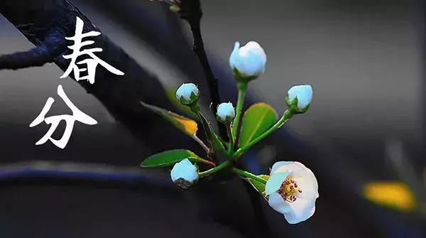 春分养生怎样做到阴阳平衡,春分节气阴阳半分最宜养生