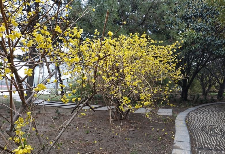 1500元左右的红米note5,红米note115g版1699元