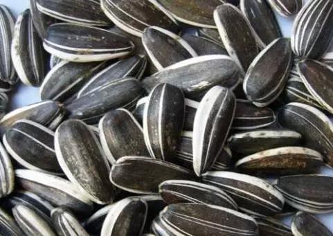 最适合孕妇吃的7大最佳食物,孕妇必吃的7种食物