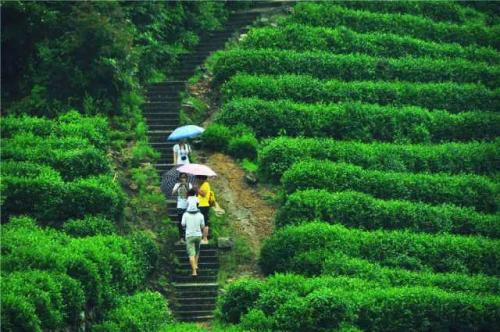 九溪十八涧小九寨,杭州九溪十八涧一日游