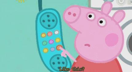 一只小猪猪在国外励志故事,小猪猪励志故事