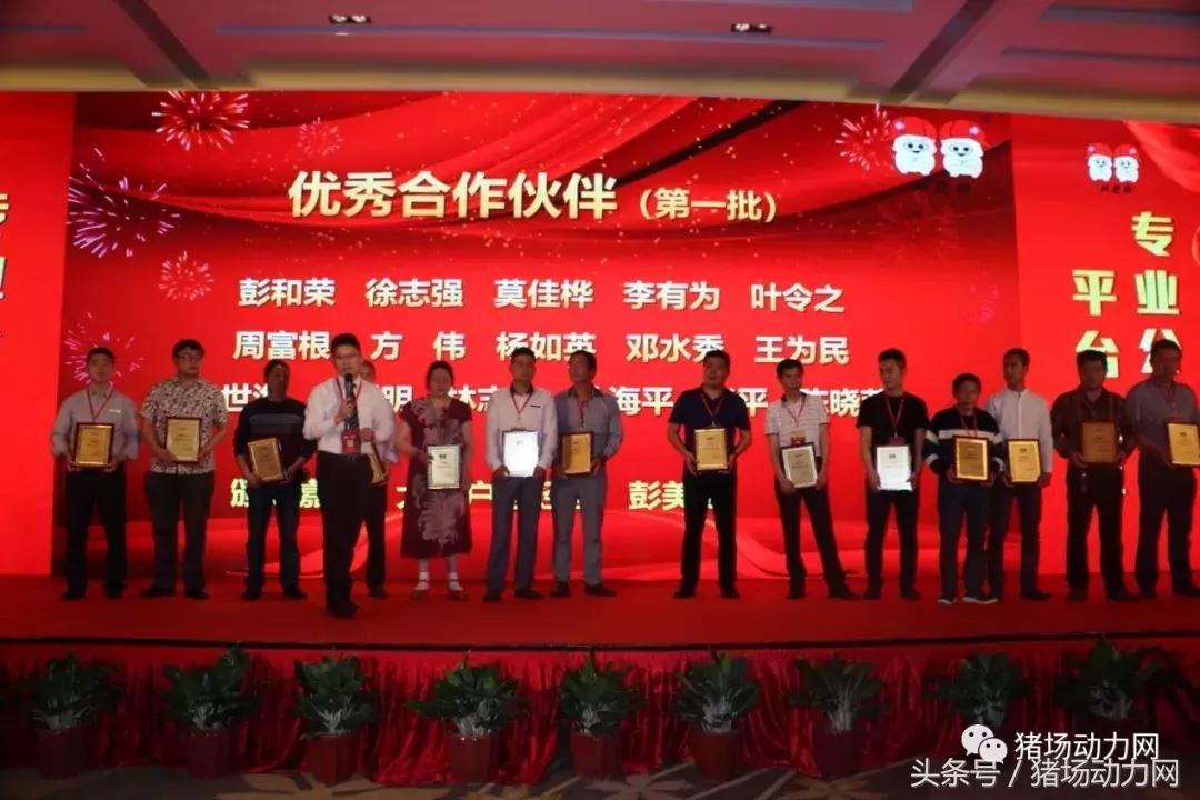 双胞胎饲料2015销量,双胞胎饲料2017年销售多少