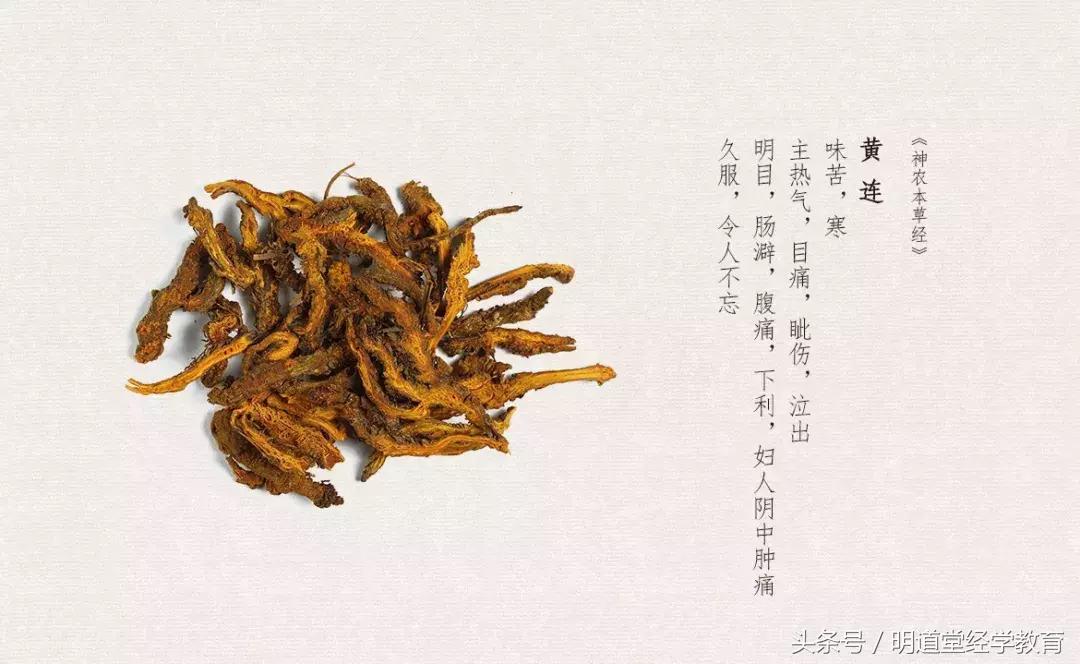 百草味道丨张琼:苦口的药,“良”在哪儿呢?