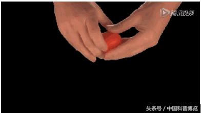 什么是d30材料,中国版d30材料