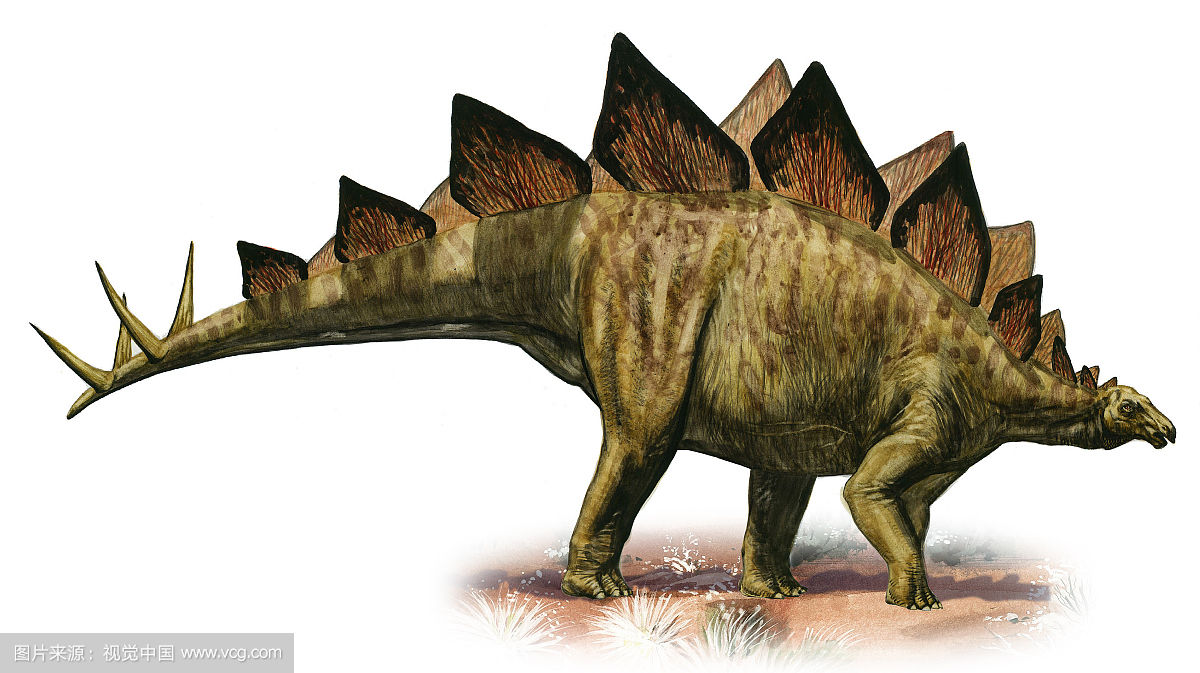恐龙世界上最强的恐龙是什么恐龙,世界上超级大的恐龙是什么恐龙