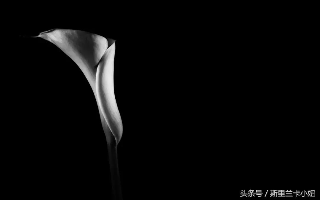 鍑哄浗鏃呮父娓ｇ敺,鏃呮父鍑鸿建澶栧浗浜虹殑妗堜緥