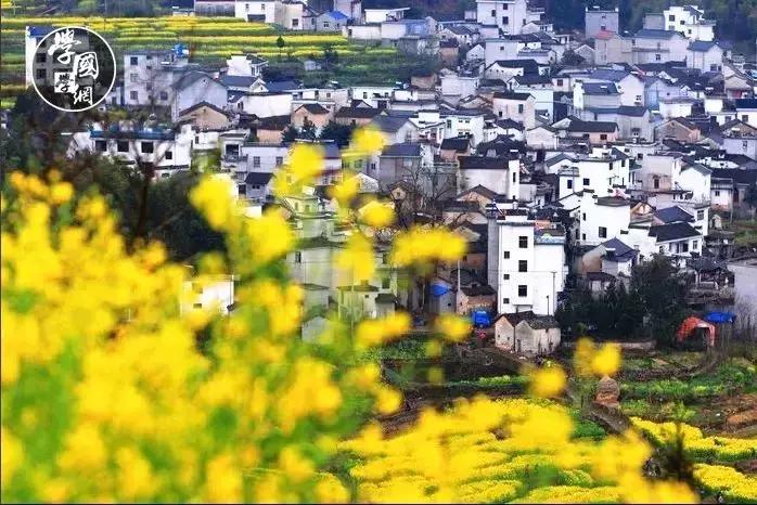 易经教你怎么活成自己想要的样子,易经教你做正确的选择