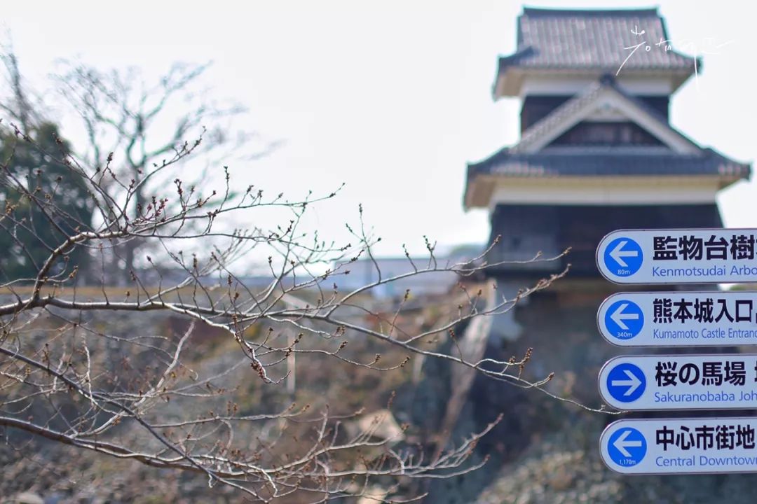 一次游轮之旅,一次悠闲惬意的美好旅行