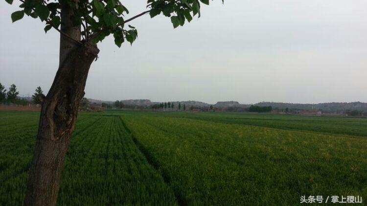 北朝壁画墓发现及考古始末,北朝考古博物馆纪录片