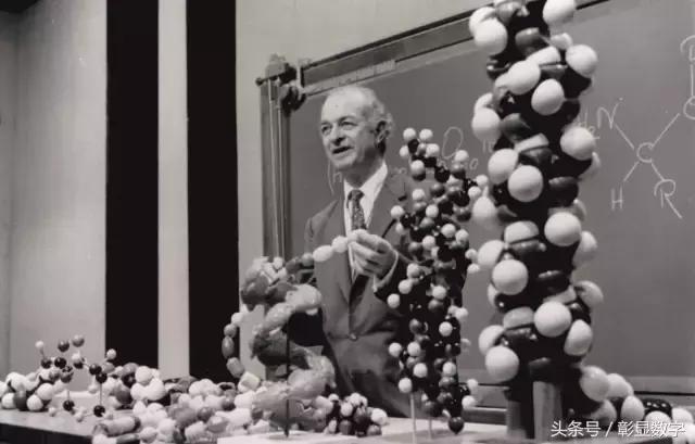 大瓶维生素c是不是智商税,疯狂补维c