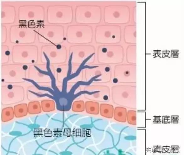 澳门爱丽小屋悦诗风吟,悦诗风吟和爱丽小屋眉笔哪个好