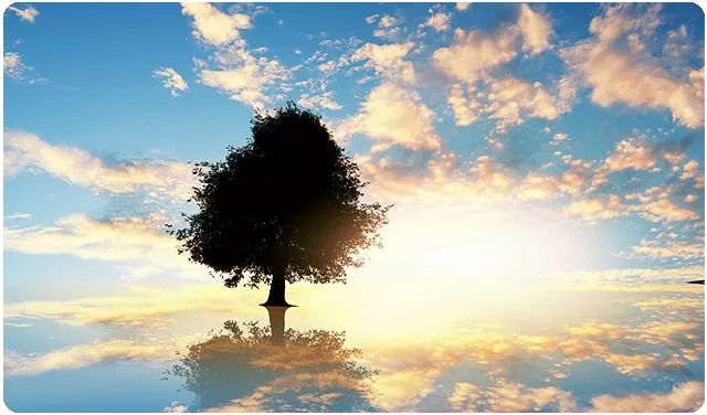 人生何解？这道命、运、理的函数题大视野