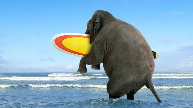 为啥三一重工比中联重科股价高,徐工机械股票跟三一重工分析一下