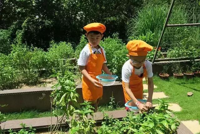 在海棠湾可以送哪些礼物,三亚值得给孩子带的礼物