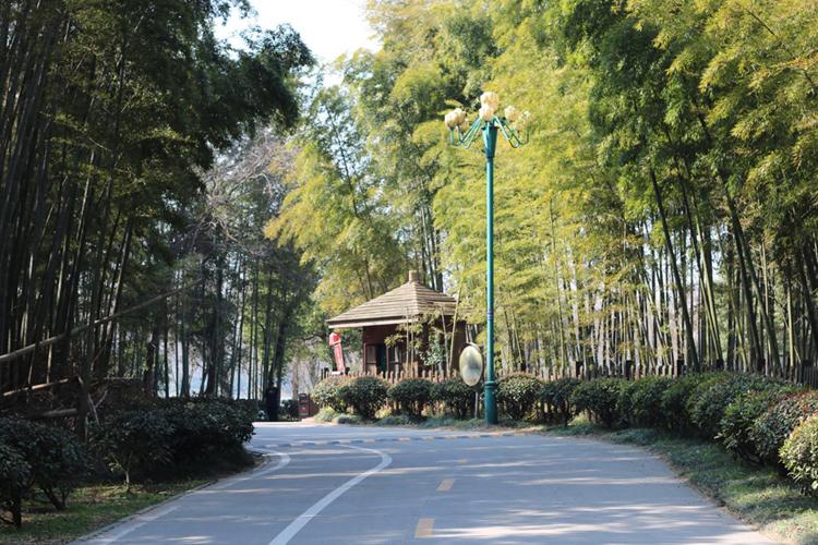 池州平天湖夏日美景,池州平天湖风景