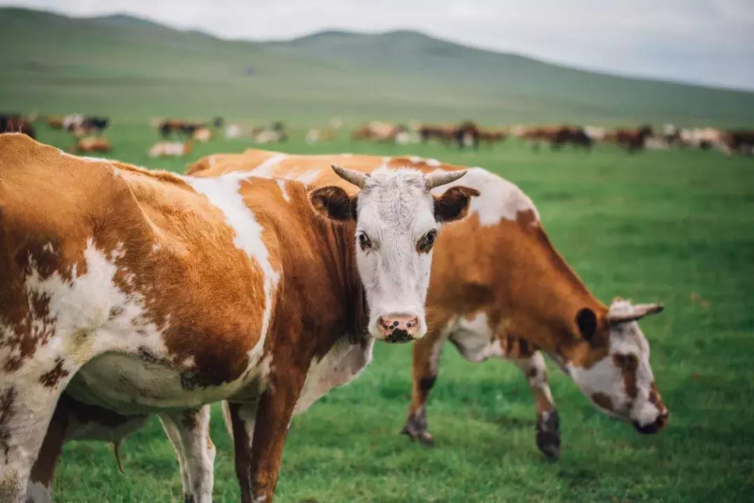追星旅游记,追星大环线日记