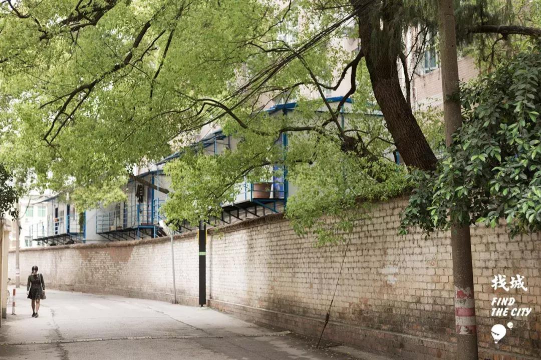 课堂之外，曾经的“坏孩子”们究竟跑哪去了？