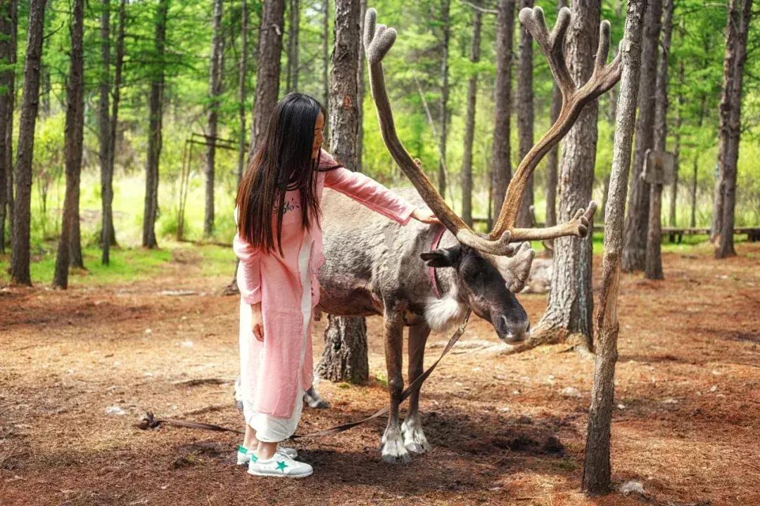 追星旅游记,追星大环线日记