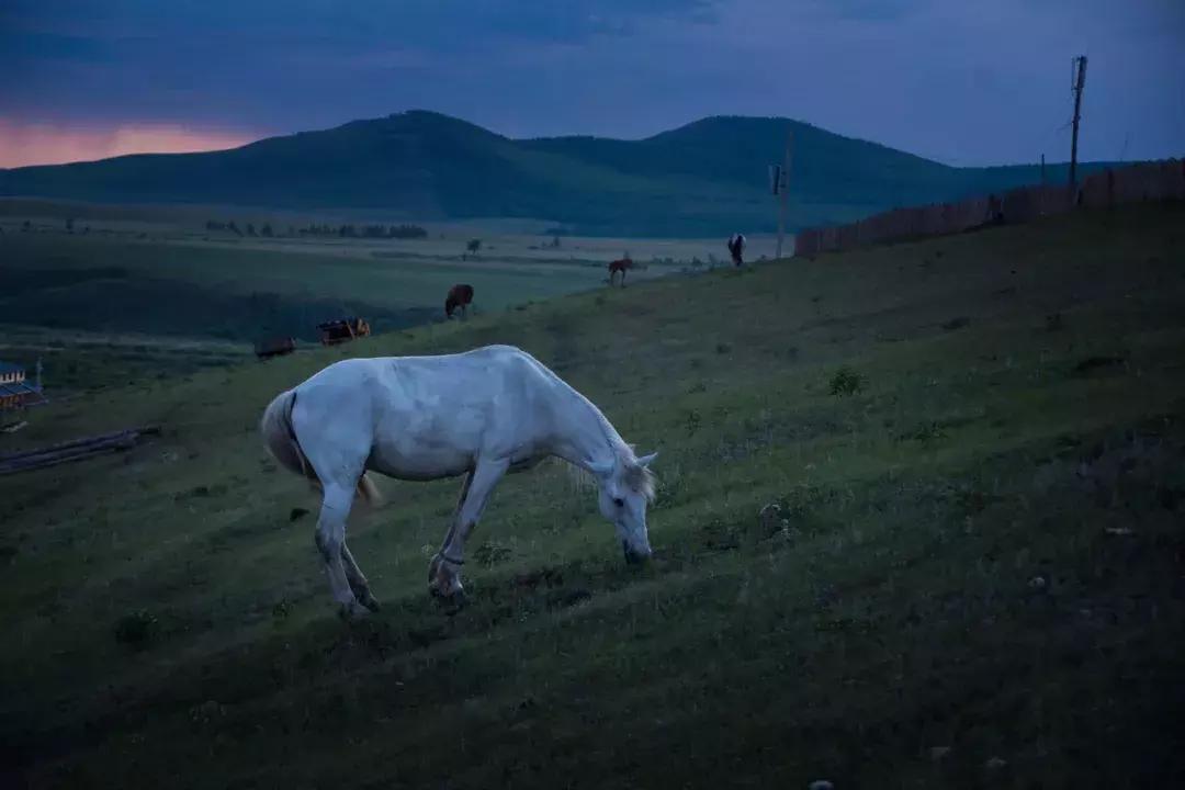 追星旅游记,追星大环线日记