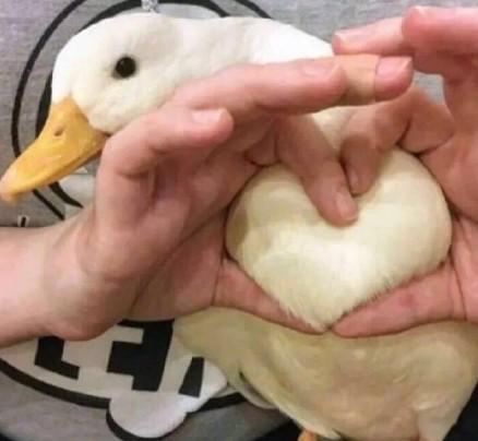 洗面奶推荐测评排名前十名低价,几款平价洗面奶都是超高性价比