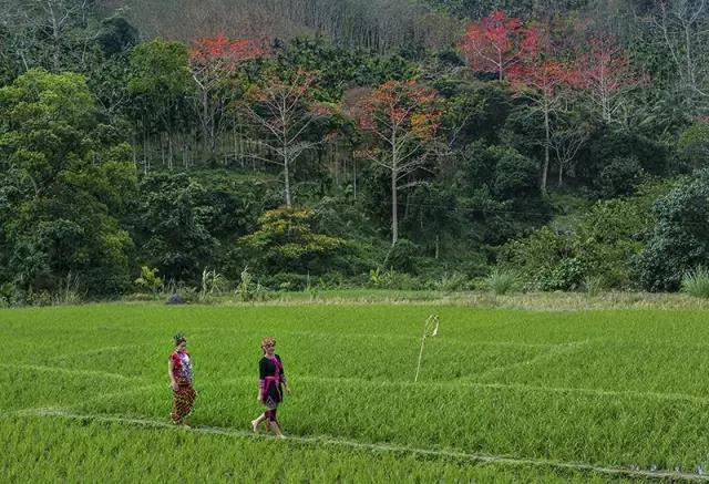 保亭七仙岭雨林仙境温泉度假别墅,海南保亭雨林仙境山湖墅