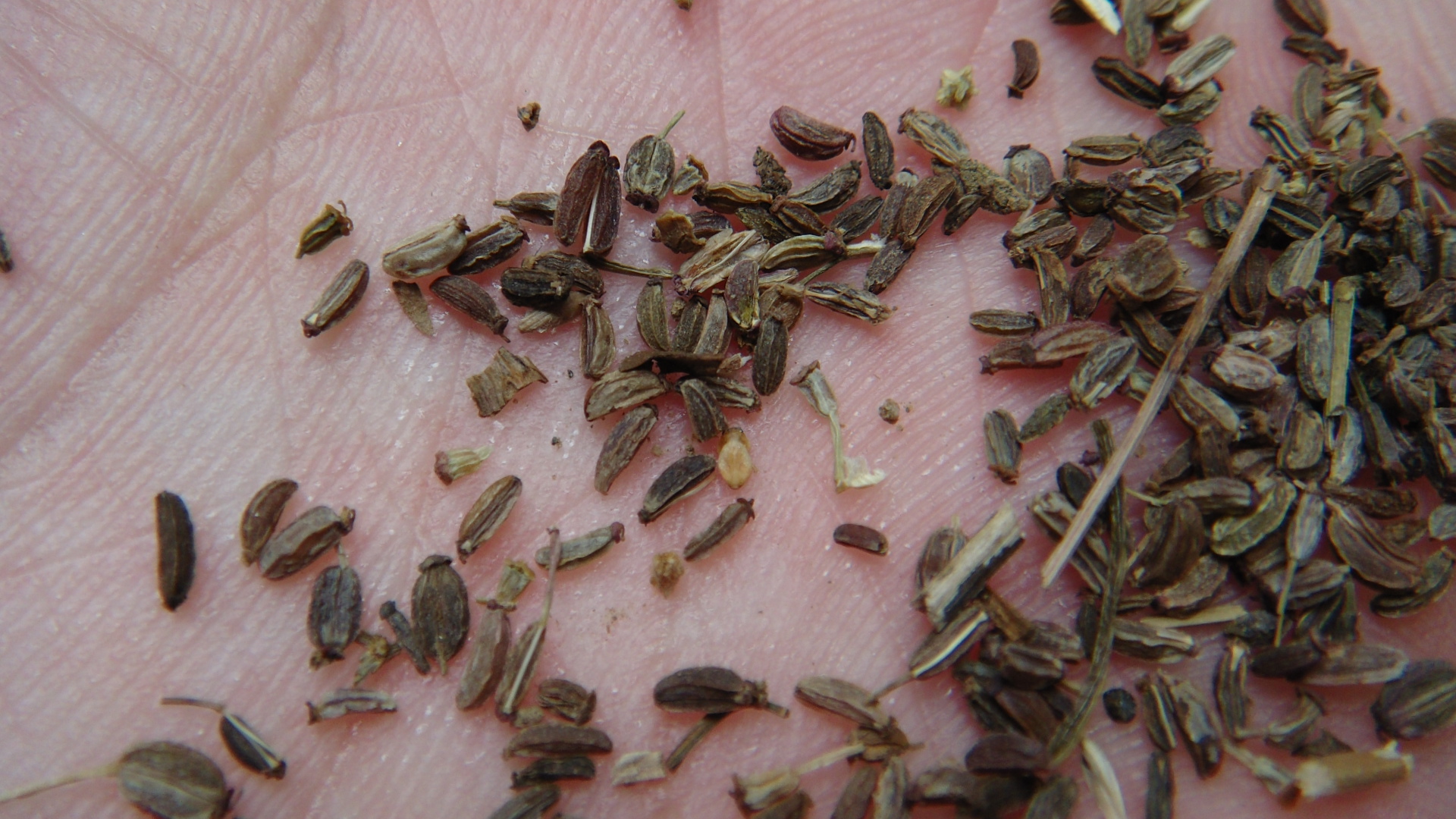 春耕购种要注意什么,春耕买农资注意什么