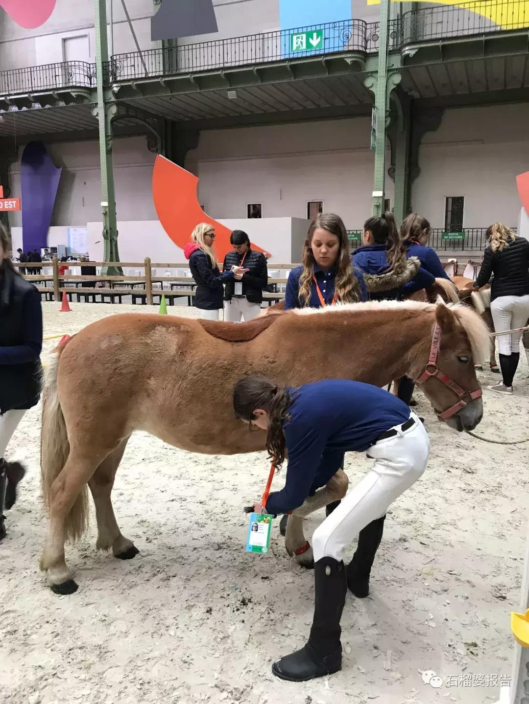 婆婆在现场|愿你跨越重重障碍，仍保持美丽姿态