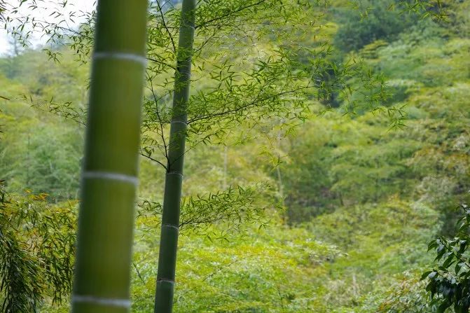 当东方遇上西方,当东方遇见西方戛纳