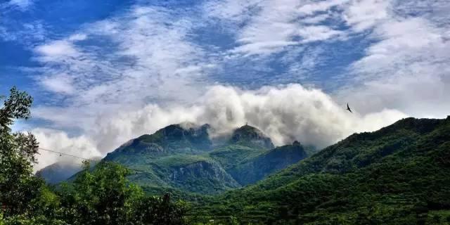 大连适合踏青烧烤的好地方,大连开发区踏青好去处