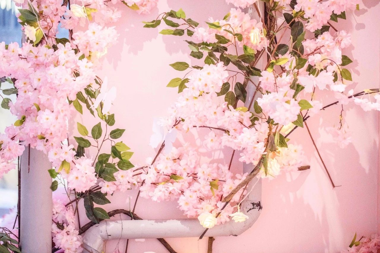 骰王免单！魔都首家粉色轰趴馆来啦，还是思聪、sky开的！