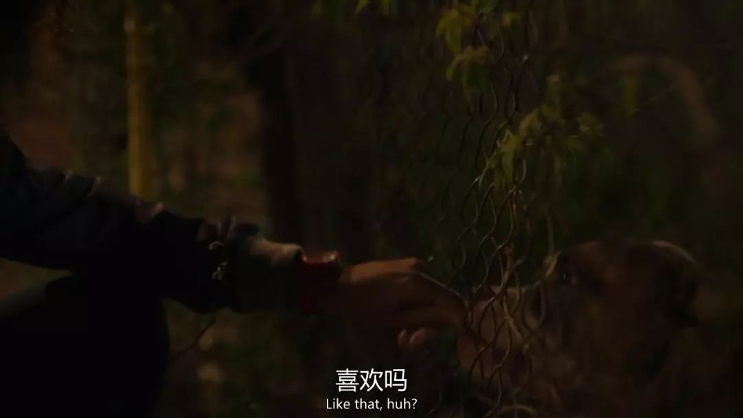 强扑、强舔、强吻，芝加哥的孩子让我大开眼界了