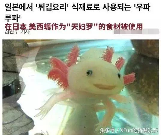 六角恐龙油炸方法,六角恐龙好吃么