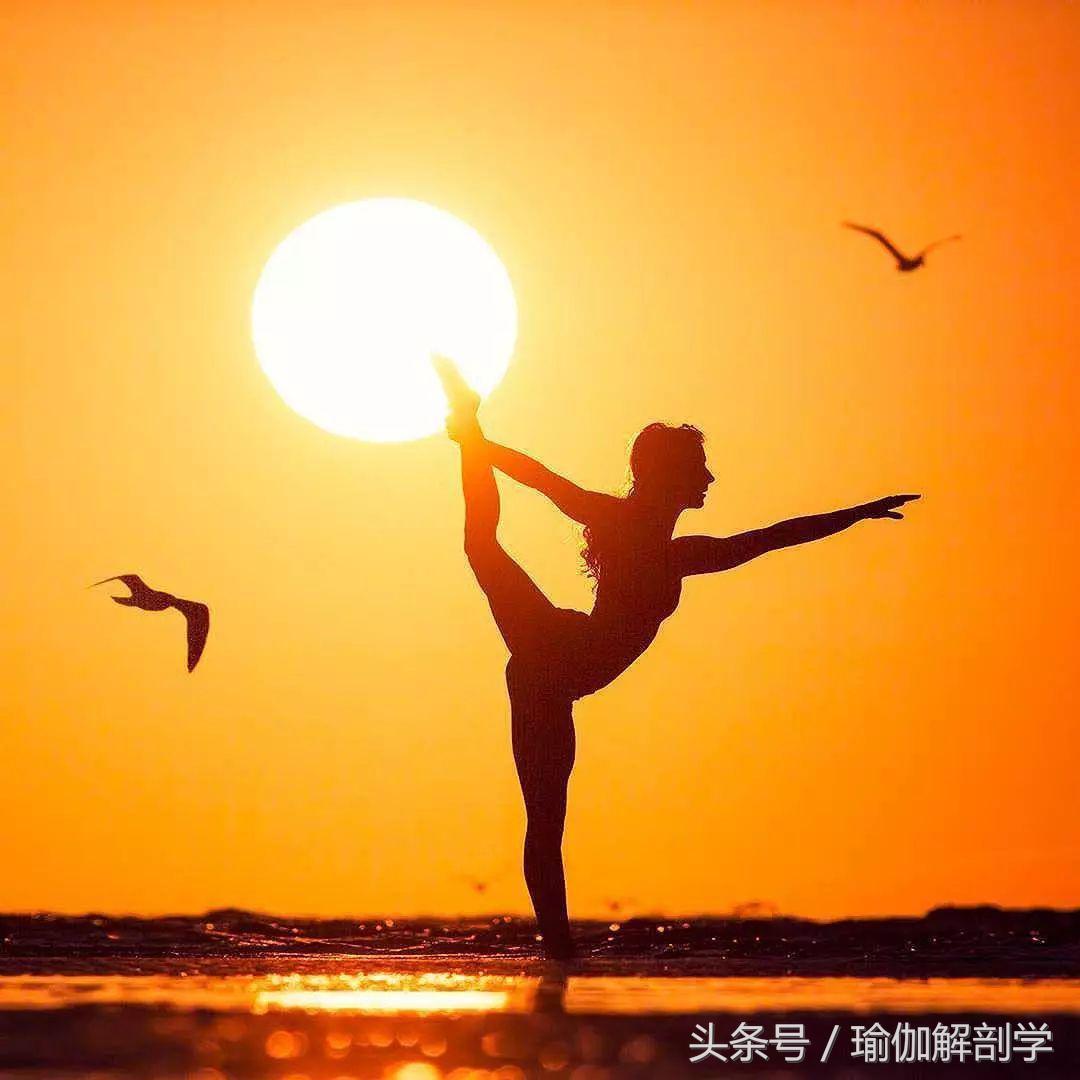 揭露瑜伽骗局,瑜伽骗局大揭秘电视剧