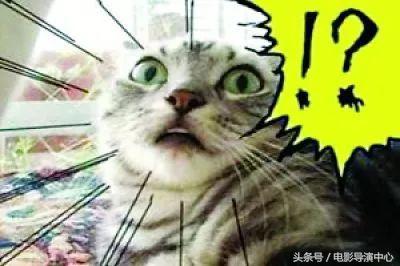 王晶拍赌博电影有哪些,王晶最新赌片电影