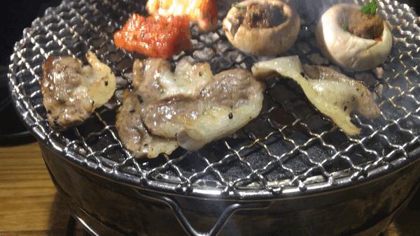 猫猫在路上,猫猫在路上走