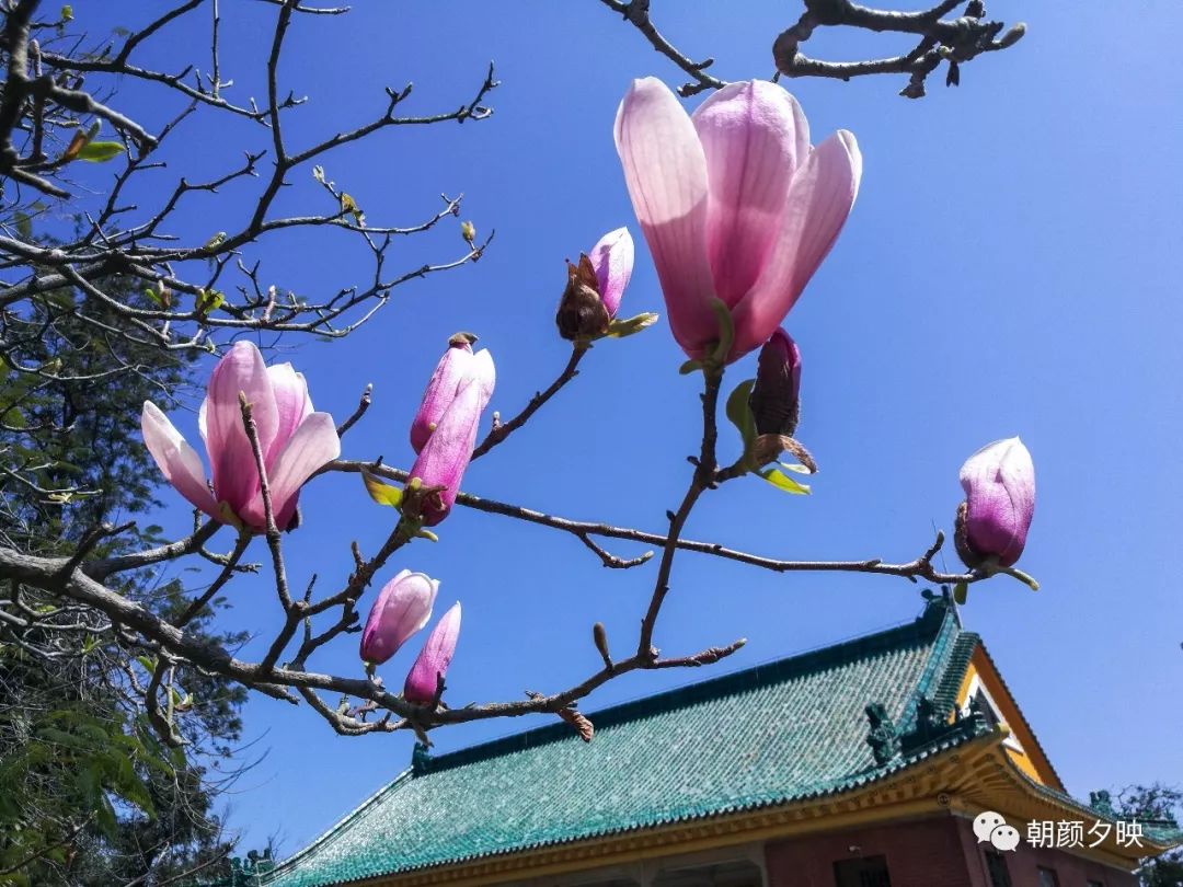 中山纪念中学100周年校庆,中山纪念中学80周年校庆