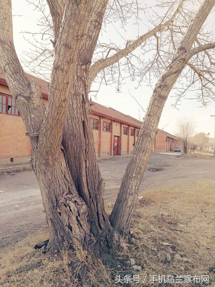 老集宁的回忆,老集宁的历史